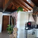 Vintage Lux Homes *