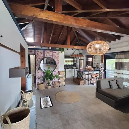 Apartment Vintage Lux Homes Nea Vrasna