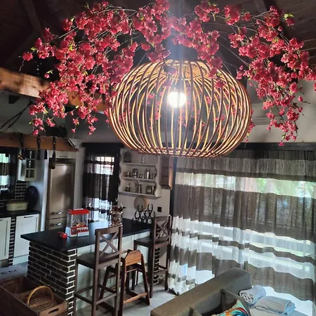 Vintage Lux Homes Appartement Vrasná