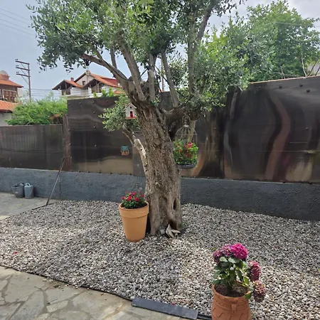 Vintage Lux Homes *